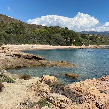 Semesterbostad Sagone Sea View *