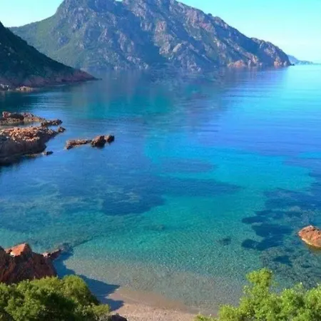 Sagone Sea View Semesterbostad *