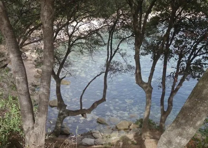 Sagone Sea View * Vico